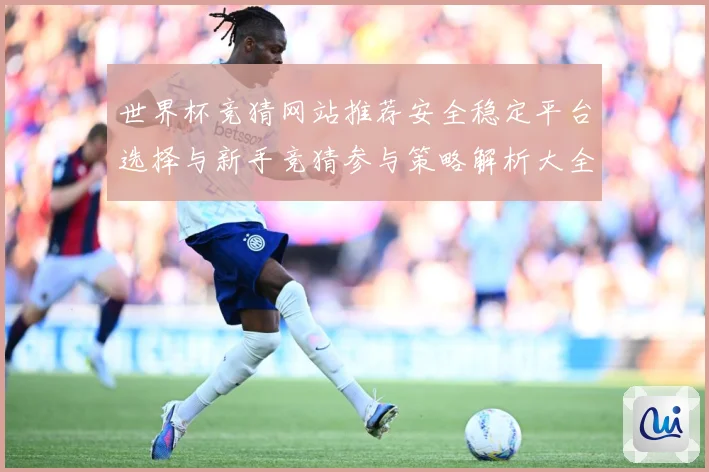 世界杯竞猜网站推荐安全稳定平台选择与新手竞猜参与策略解析大全数据研判